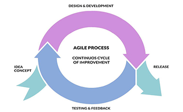 Software Development Company in Pune